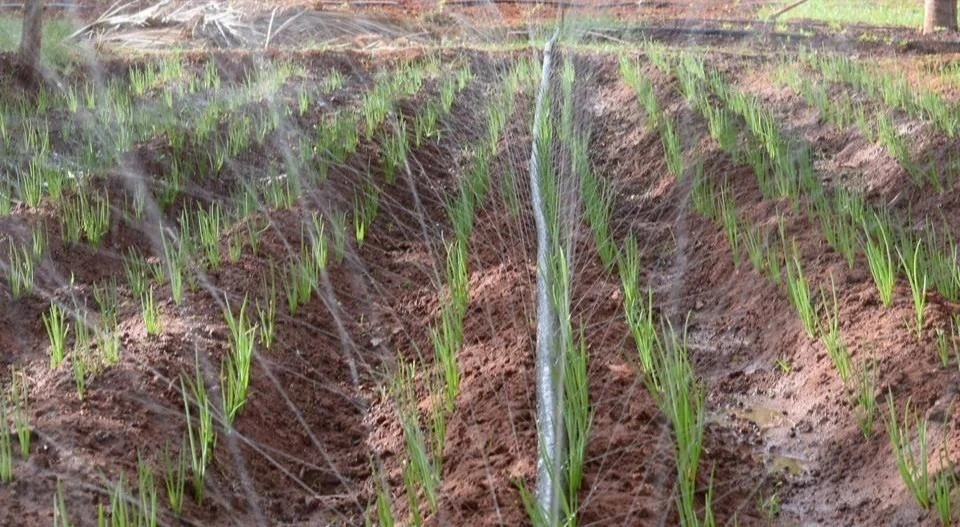 bg_sec_img_homepage_sctn1